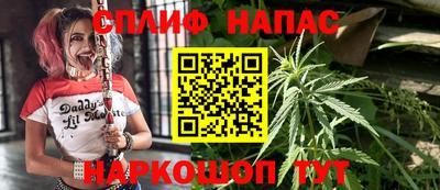 ALPHA PVP Гусев