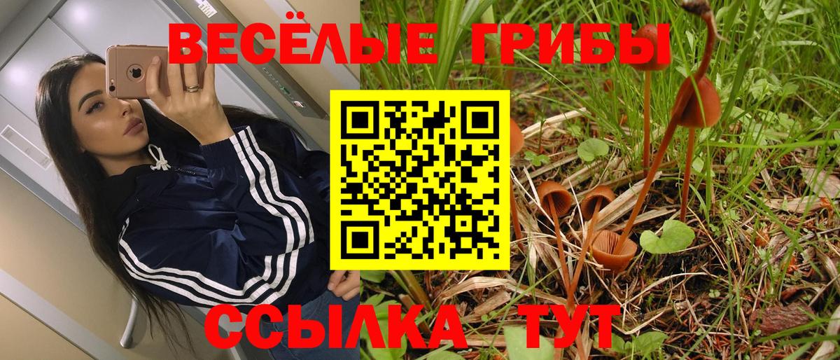 Галлюциногенные грибы Psilocybine cubensis  Галлюциногенные грибы мицелий  Вход с VPN  хочу наркоту  Надым 