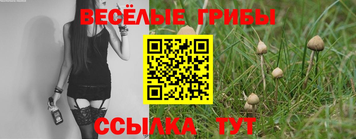 Псилоцибиновые грибы ЛСД Надым